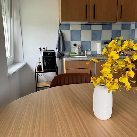 Isaak Schlossblick * Waldshut-Tiengen