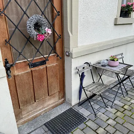 Isaak Schlossblick * Waldshut-Tiengen