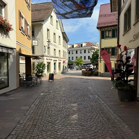 Isaak Schlossblick * Waldshut-Tiengen